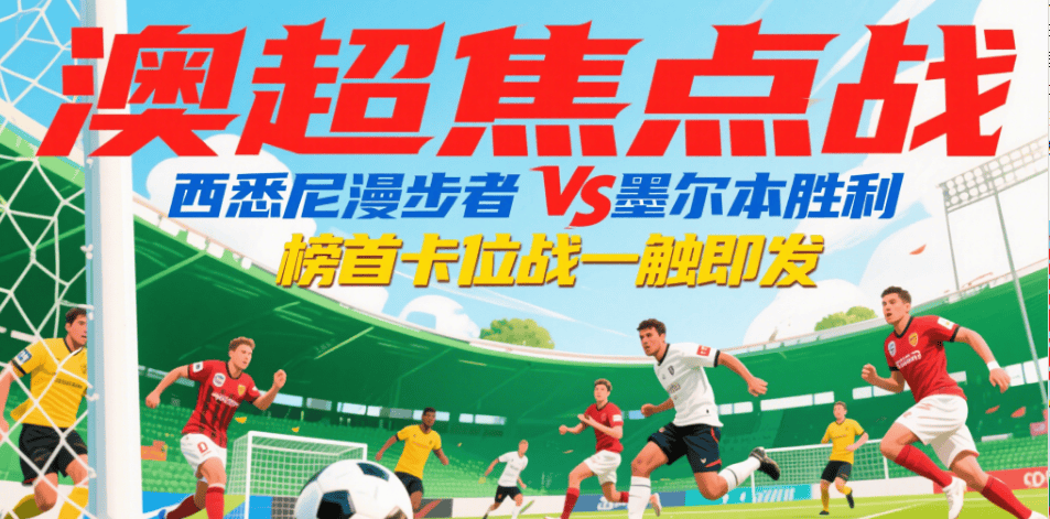 爱游戏官网-西悉尼流浪者连续不败，争冠形势一片大好的简单介绍