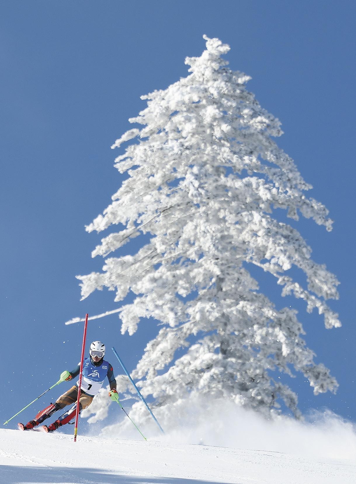斯洛文尼亚选手在高山滑雪比赛中夺魁 斯洛文尼亚选手在高山滑雪比赛中夺魁